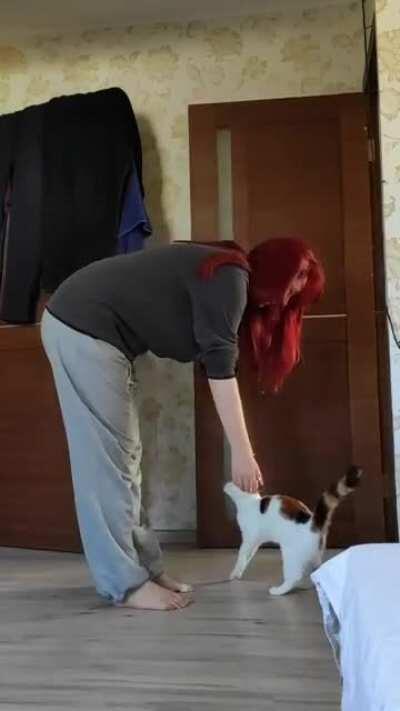 She picks up the cat