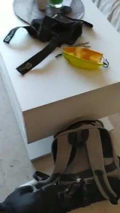 Cleaning my house has become funnier since this two are in my life.