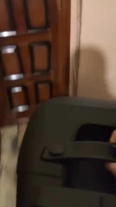 Cum sa iti trollezi vecinii la inceput de an