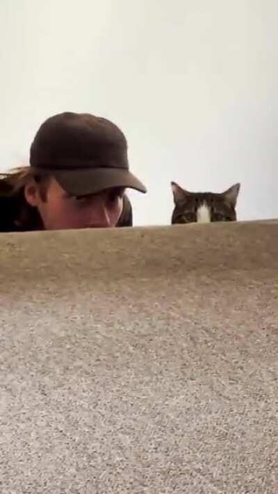 Caught amidst their secret plotting