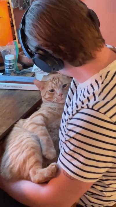 Howdy is such a big baby 🧡