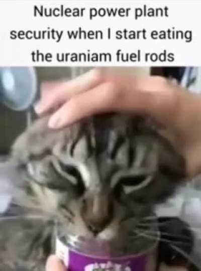 Plant Security isn’t letting us eat the spent fuel rods 😔