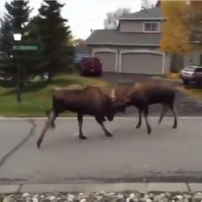 Would you stand there and record this?