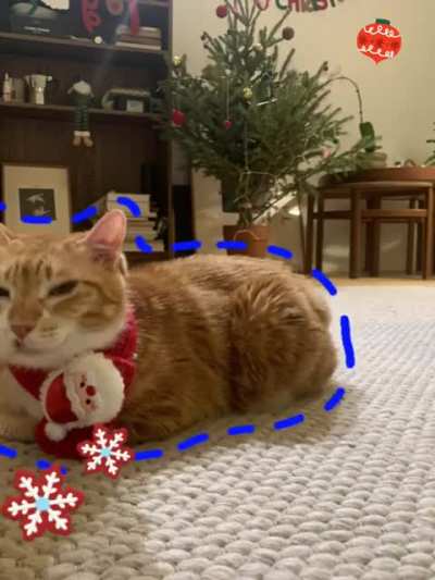 Don&rsquo;t forget the reasoyen for the seasoyen!