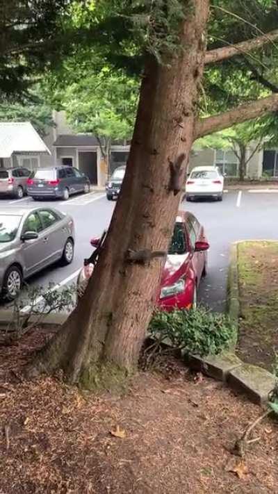 I think her brain short circuited