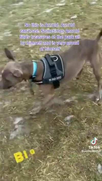 Sweet blind boy Arnold found a ball