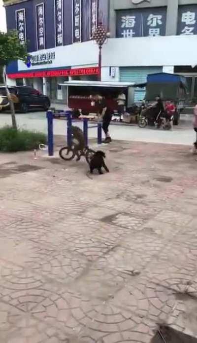 Give me back my bike