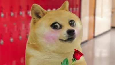 [OC] Worst she can say is no