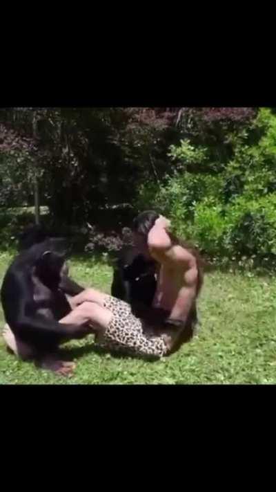 Se ve piola el gym de orslok