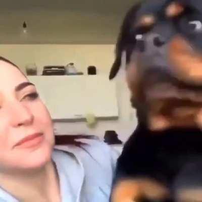 Minha identidade não é uma PIADA, humana