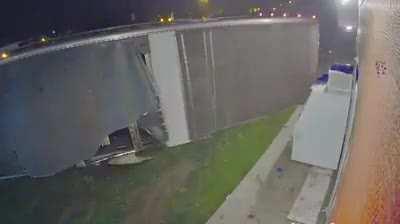 Holy Cow (from r/AbruptChaos)