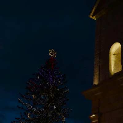 Emily under the Christmas tree 🎄 collinsupdatez edit ✨