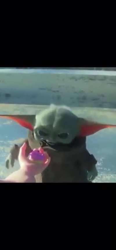 Die. (WARNING: Blood)