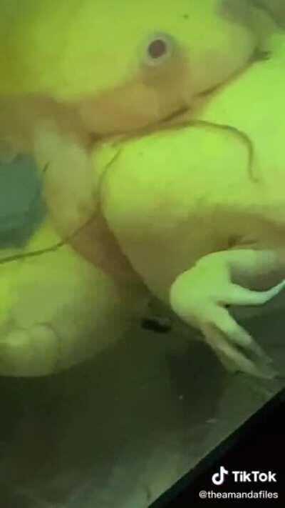 Glad to see my abusive ex and his meth dealer are doing so well now! Recovery is beautiful!