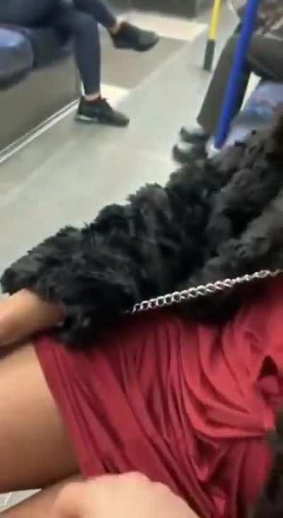 Tranny getting freaky in public 💦🍆 telegram link below ⬇️ 