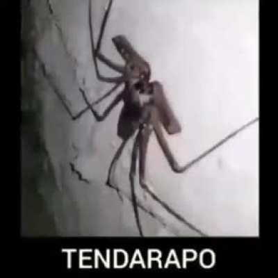 Veo eso y quemo la casa