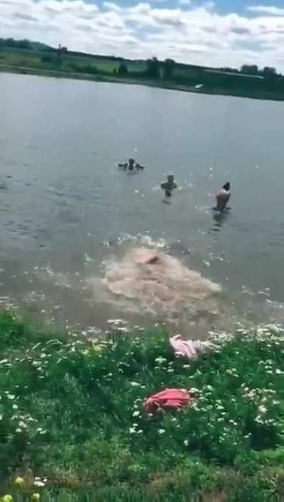 Diving in the shallow