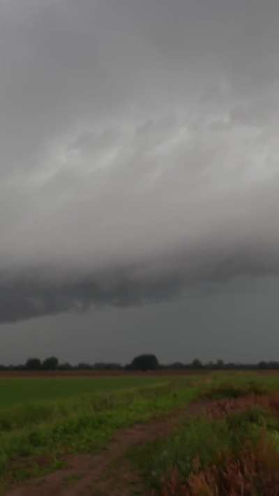 Last Year in the Netherlands