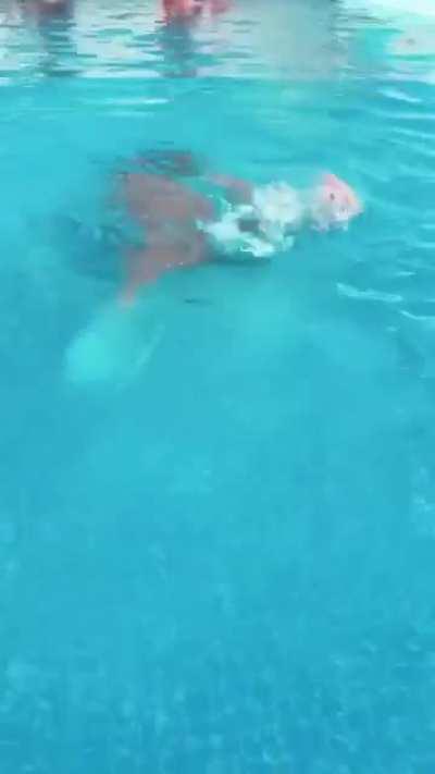 Stephanie Silveira @stephaniesilveiira