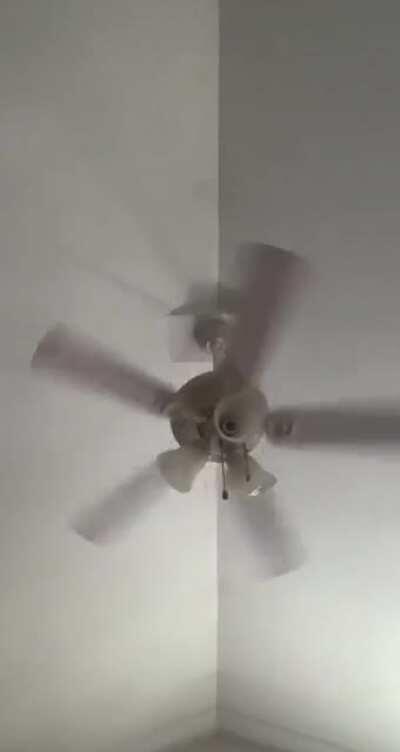 Don't play with your food.