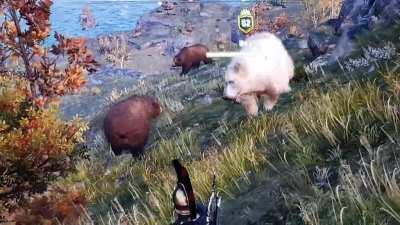 [AC:Odyssey] Bearnado!