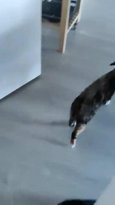 Roll, pursuit, stretch and roll