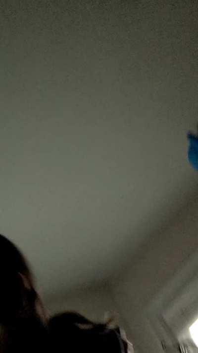 Birdy woke up and chose chaos yesterday.