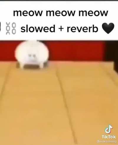 meow meow meow