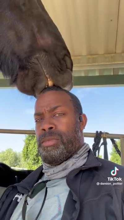 Now why the fuck my stepdad send this to me on WhatsApp💀