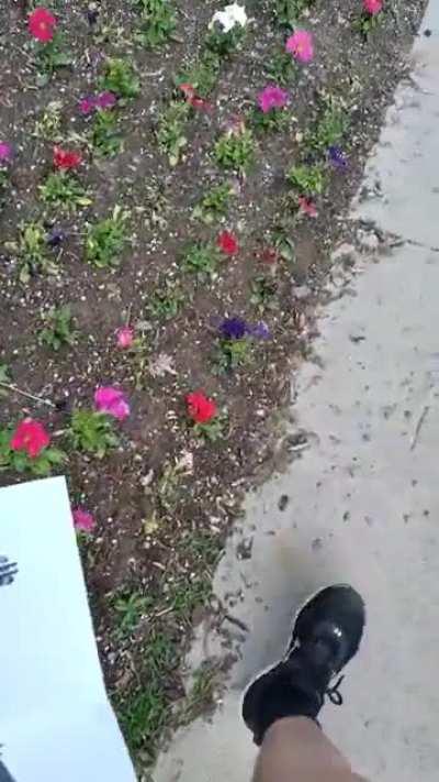 I've decided to take matters into my own hands