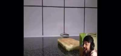 Daddy muta loves waffles