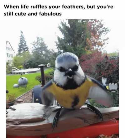 Cute and fabulous