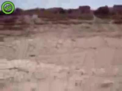 US soldier throws a puppy off a cliff. Forget not being allowed on the boat, this man deserves to be cut apart by the boat's propellers.