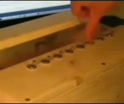 An interesting tittle