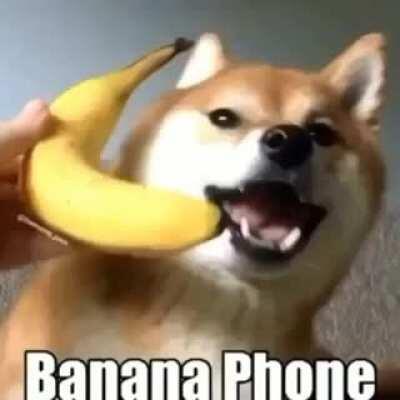 Banana🐵🍌