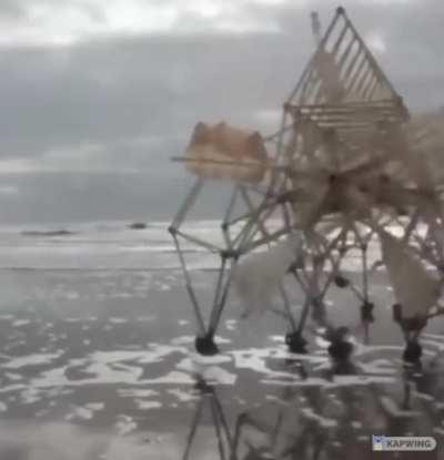 These sculptures can walk on their own thanks to energy generated from the wind.