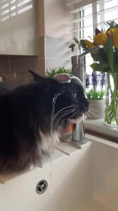 Too lazy to do the right thing? or just stupid?