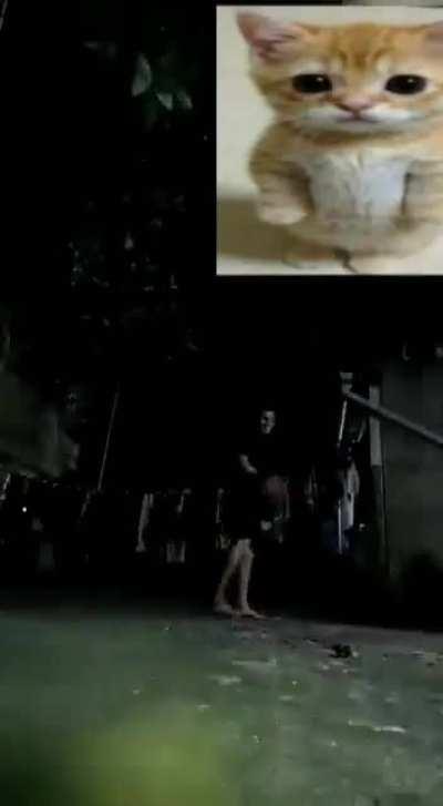 Yullalol - Video #9580