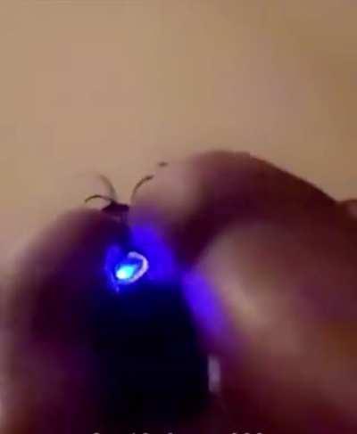 I just want to fit In