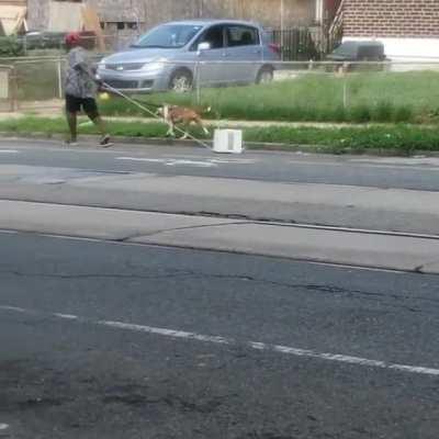 I dont even know what this is