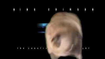 Not sure what to caption, but I come bearing this gift.