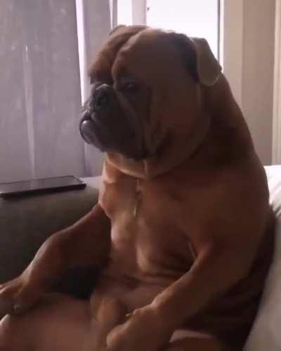 Seriously man, why are we still watching this?