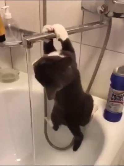 Drinking consequences