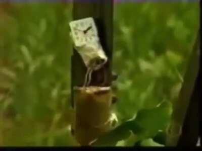 Equipe anti-bomba estilo anos 90.