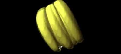 Rate this rotating banana