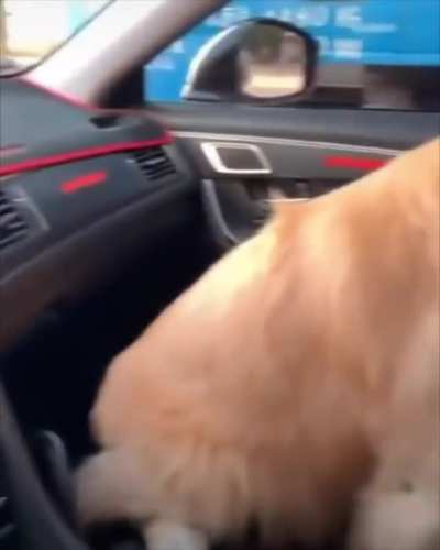 He knows what he done 🥰