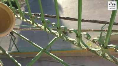 Border Police officer grabs girl’s bike, tosses it into bushes - Hebron