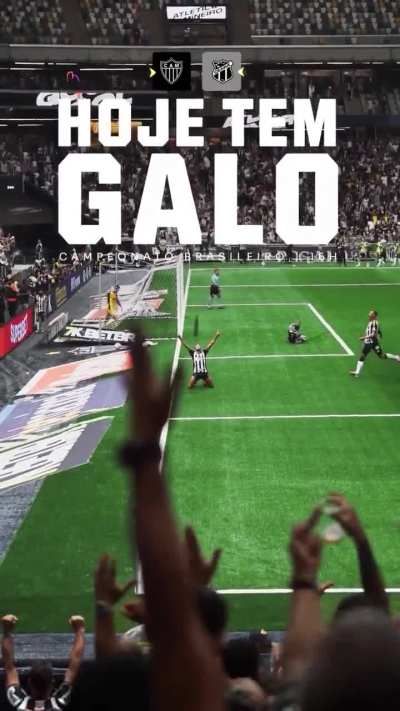 Hoje tem GALO!