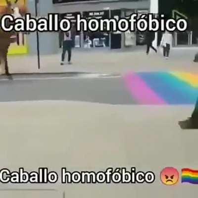 Caballo😡🏳️‍🌈