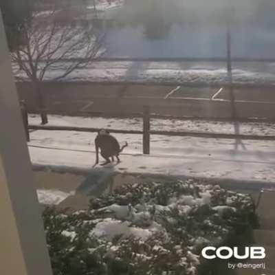 My poop people need me